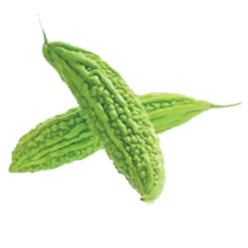 CONCOMBRES CHINOIS/1KG