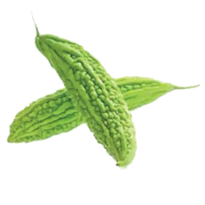 CONCOMBRES CHINOIS/1KG