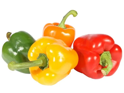 POIVRONS COULEUR/1KG