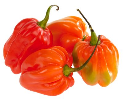 PIMENTS/1KG
