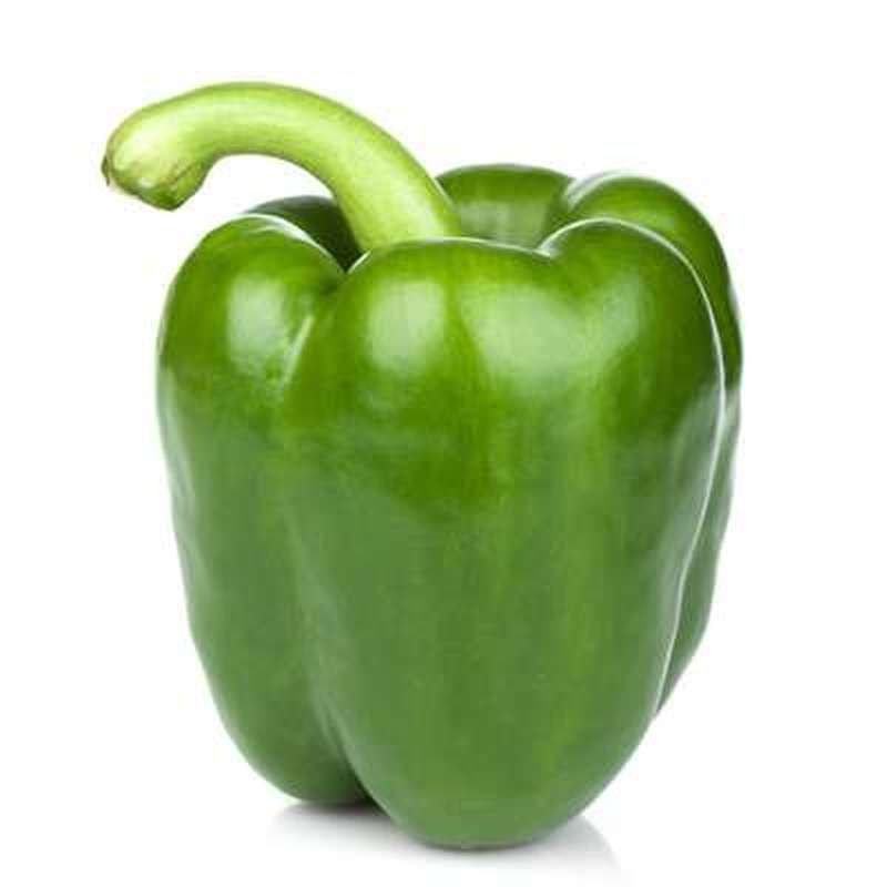 POIVRON VERT