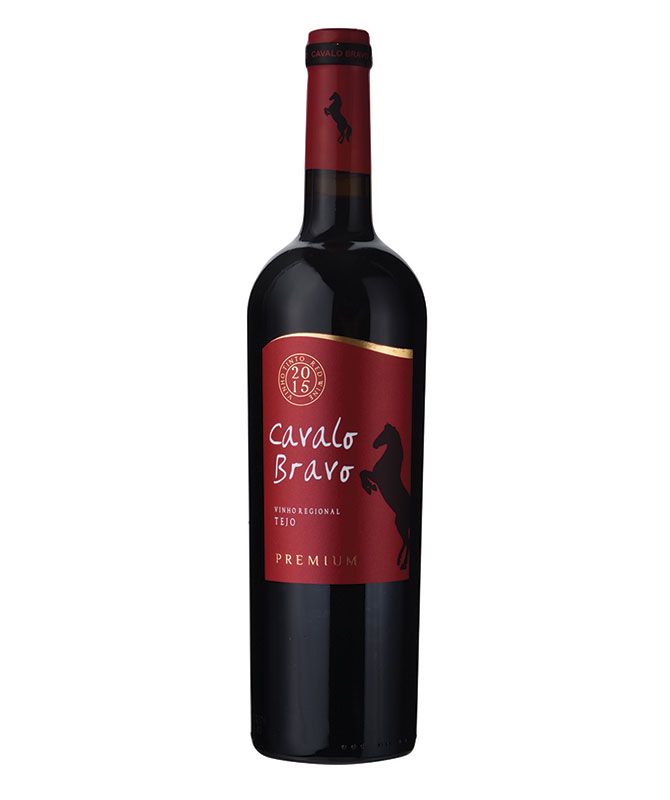 CAVALO BRAVO