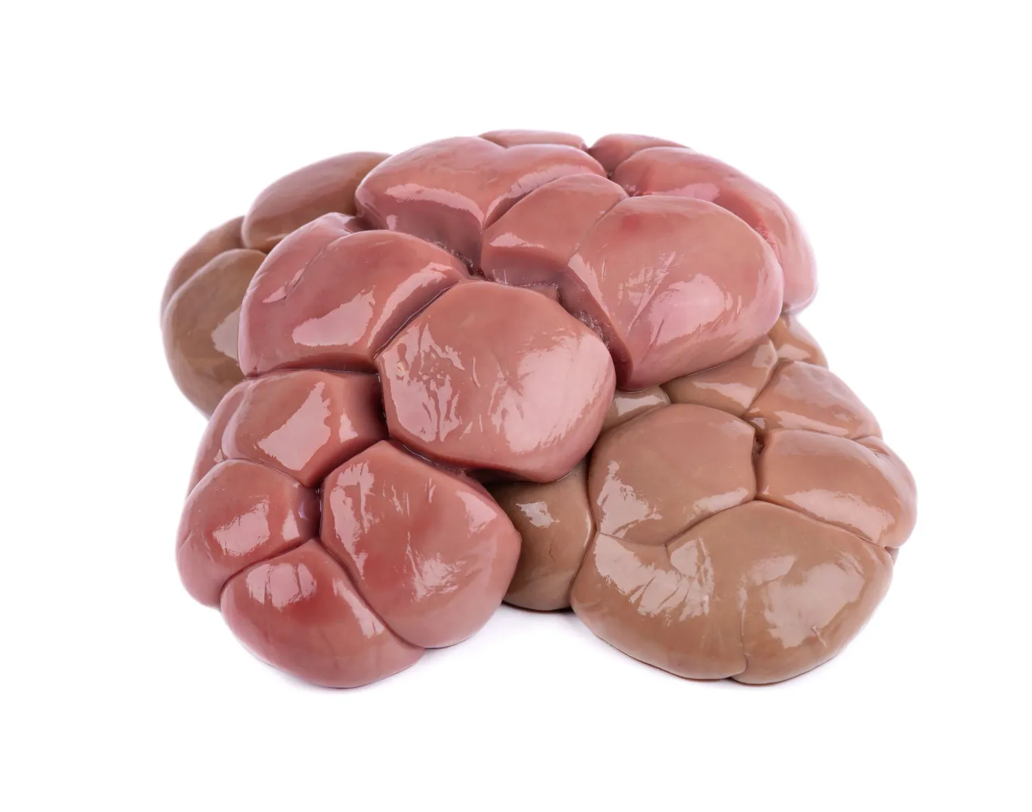 ROGNON DE BŒUF  1KG