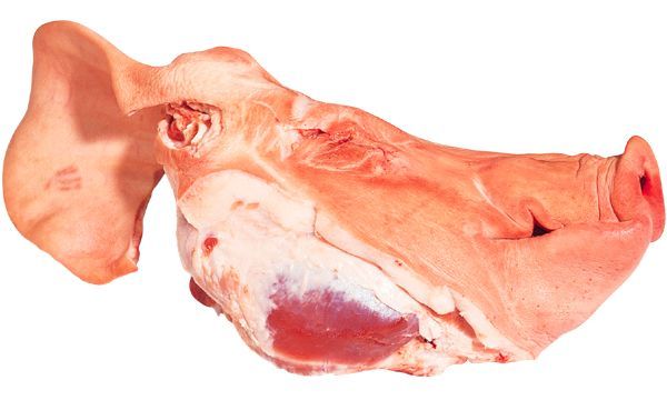 TÊTE ENTIÈRE DE PORC 1KG