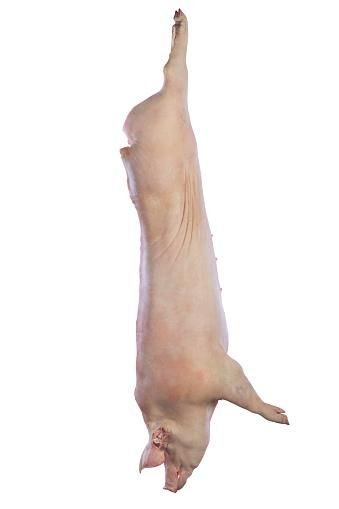 PORC ENTIER 1KG