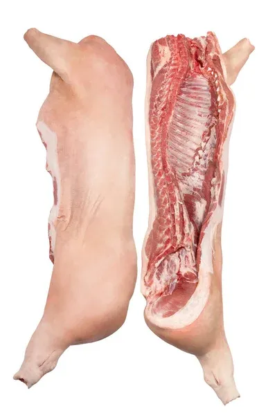 PORCCELET