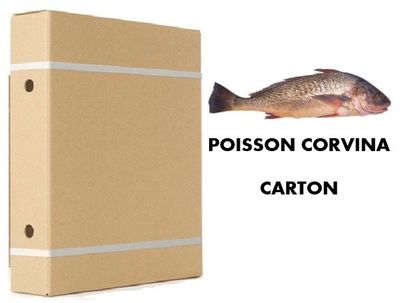 CORVINA POISSON
