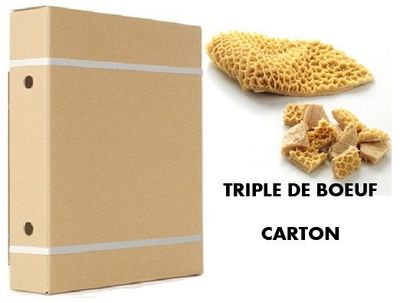 TRIPE SONG &amp; PIED DE PORE