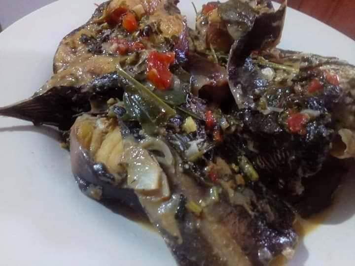 POISSON D&#39;EAU DOUCE NGOLO (SILURE)