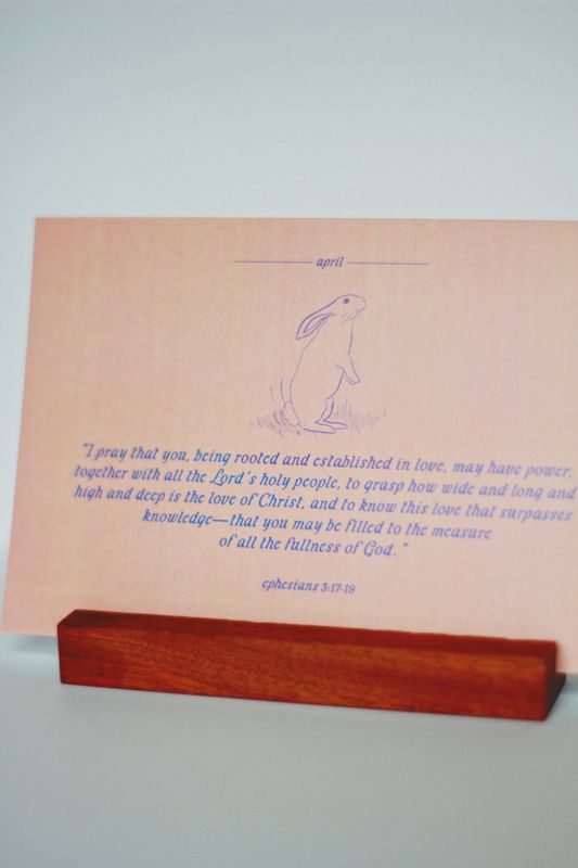 The Story: Calendar Scripture Cards Set
