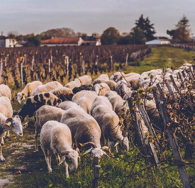 Easter Recommendations