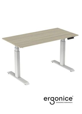 RISE ELEKTRISCH VERSTELBAAR BUREAU ERGONICE