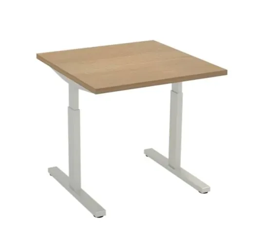 Pinta bureau