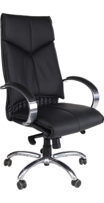 President P directiestoel