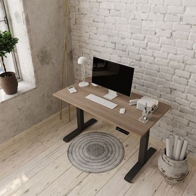 PRO ELEKTRISCH VERSTELBAAR BUREAU ERGONICE
