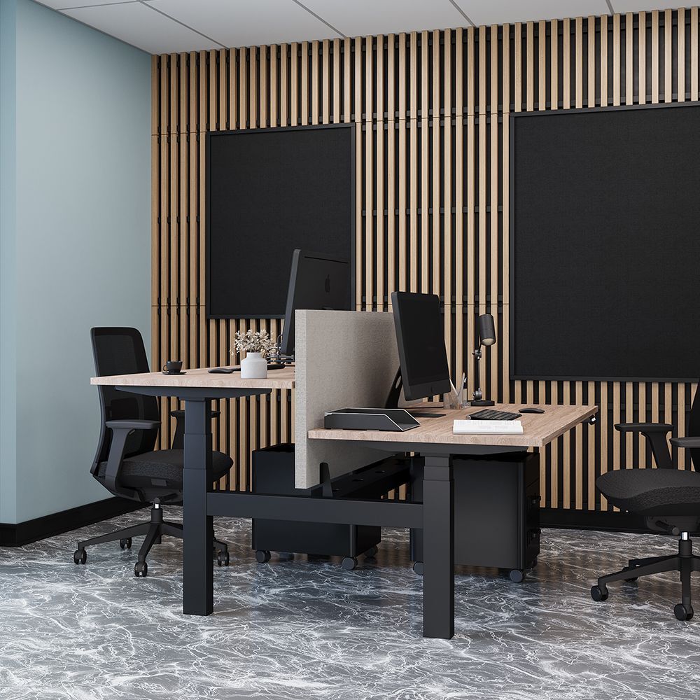 DUO RISE ELEKTRISCH VERSTELBAAR BUREAU ERGONICE DUO RISE ELEKTRISCH VERSTELBAAR BUREAU ERGONICE