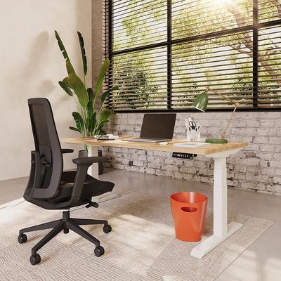 RISE ELEKTRISCH VERSTELBAAR BUREAU ERGONICE