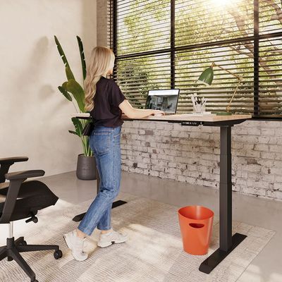 RISE ELEKTRISCH VERSTELBAAR BUREAU ERGONICE