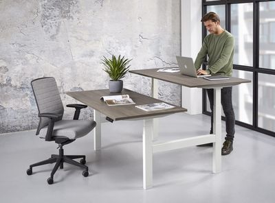 Zit Sta Duo Business Elektrisch Bureau