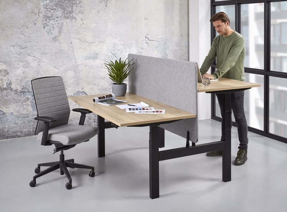 Zit Sta Duo Business Elektrisch Bureau