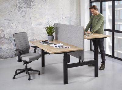 Zit Sta Duo Business Elektrisch Bureau