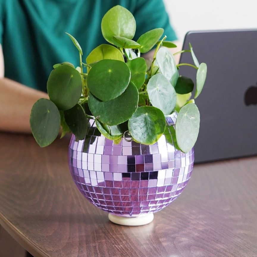 Lilac Disco Ball 6 Inch Hanging Planter