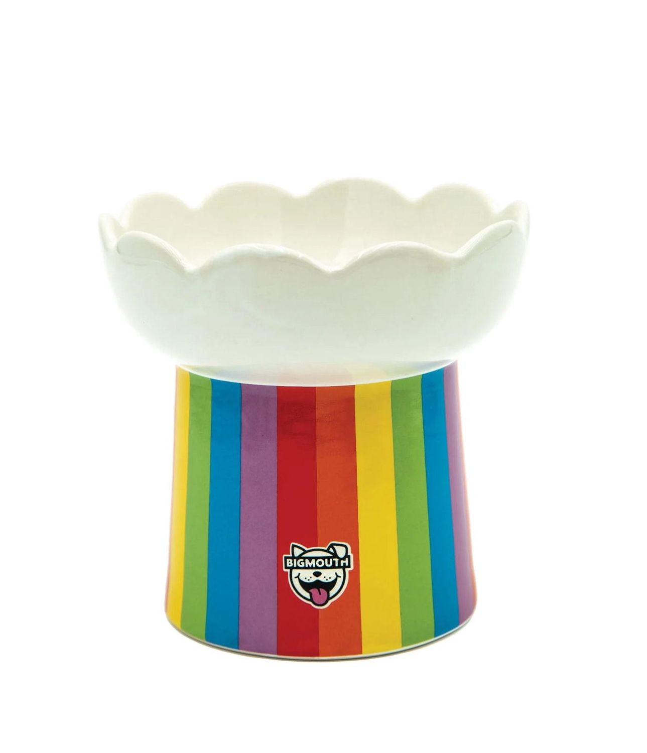 Rainbow Elevated Cat Bowl