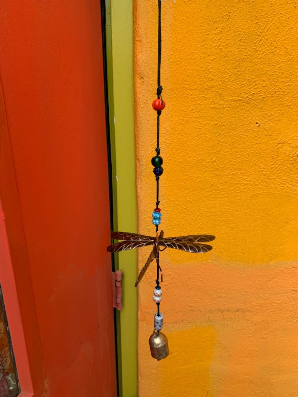 Small Coppertone Dragonfly