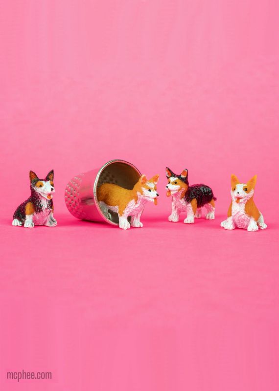 Itty Bitty Corgi