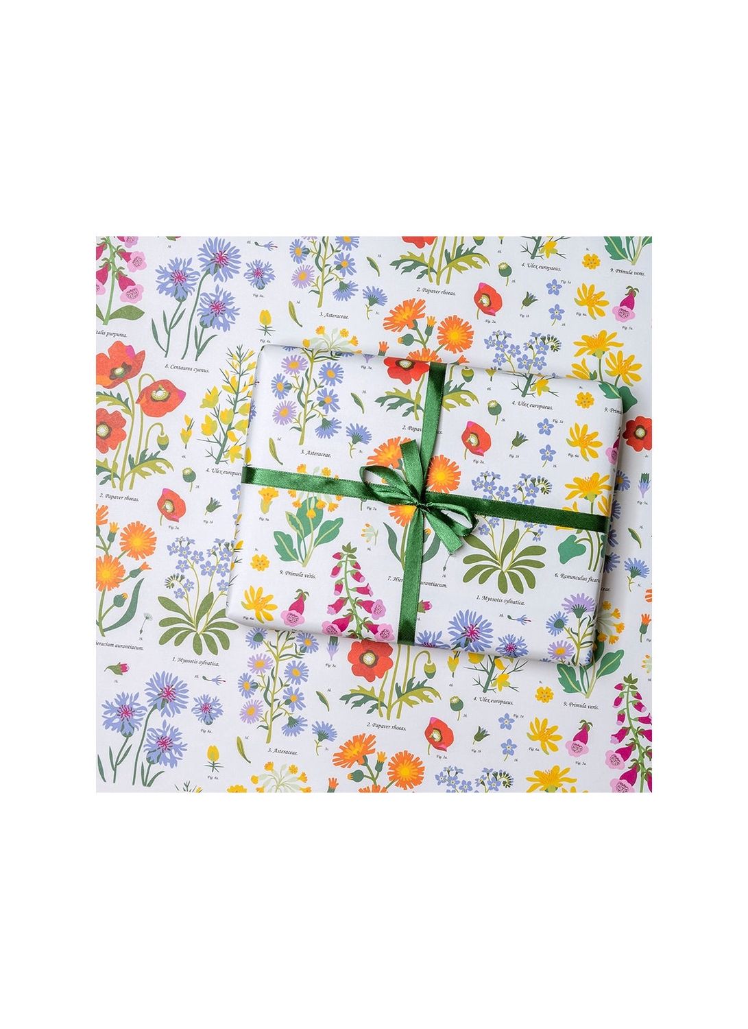 Wild Flowers Wrapping Paper Sheet