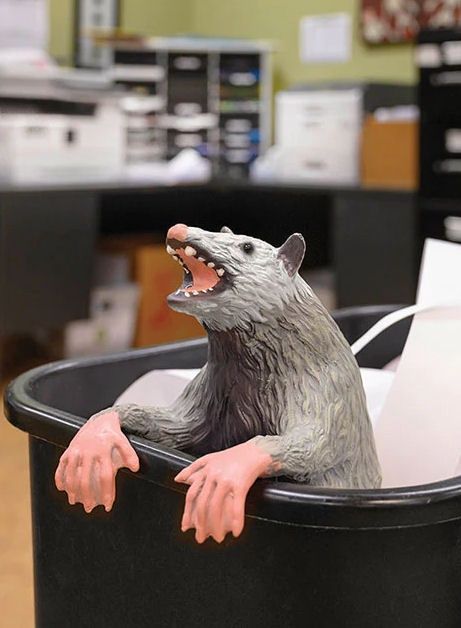 Office Possum