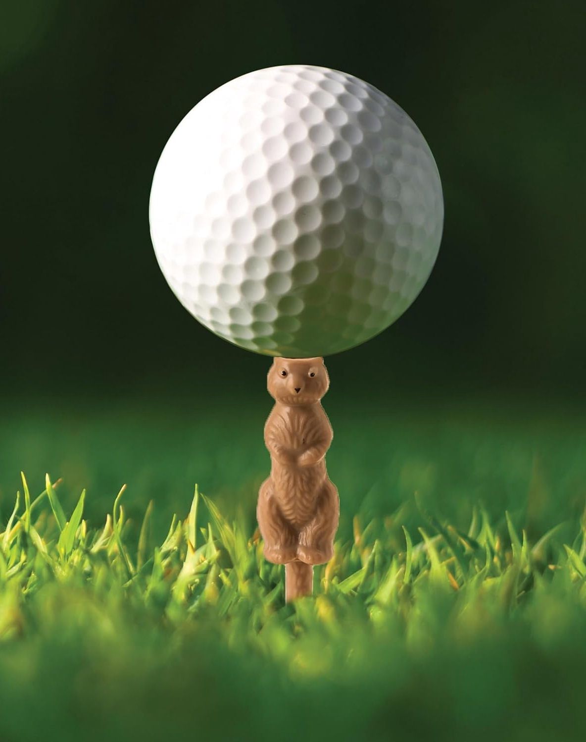 Gopher The Caddie Golf Tee Individuals