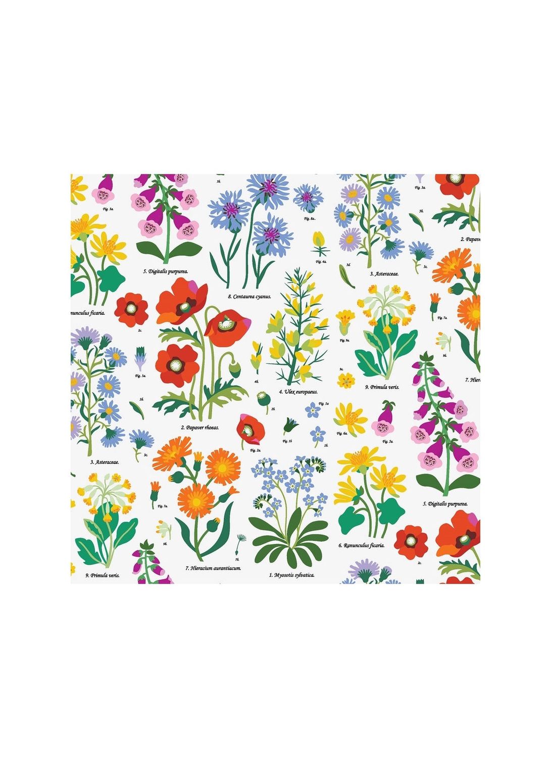 Wild Flowers Wrapping Paper Sheet