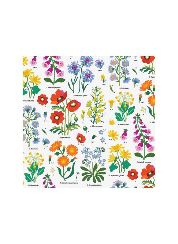 Wild Flowers Wrapping Paper Sheet