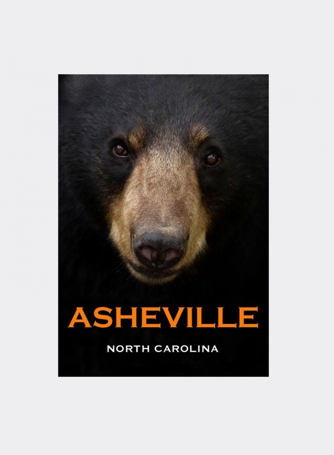 Asheville Black Bear Magnet