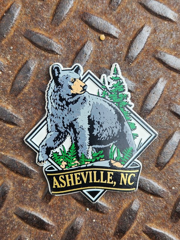 Diamond Bear Asheville White Magnet