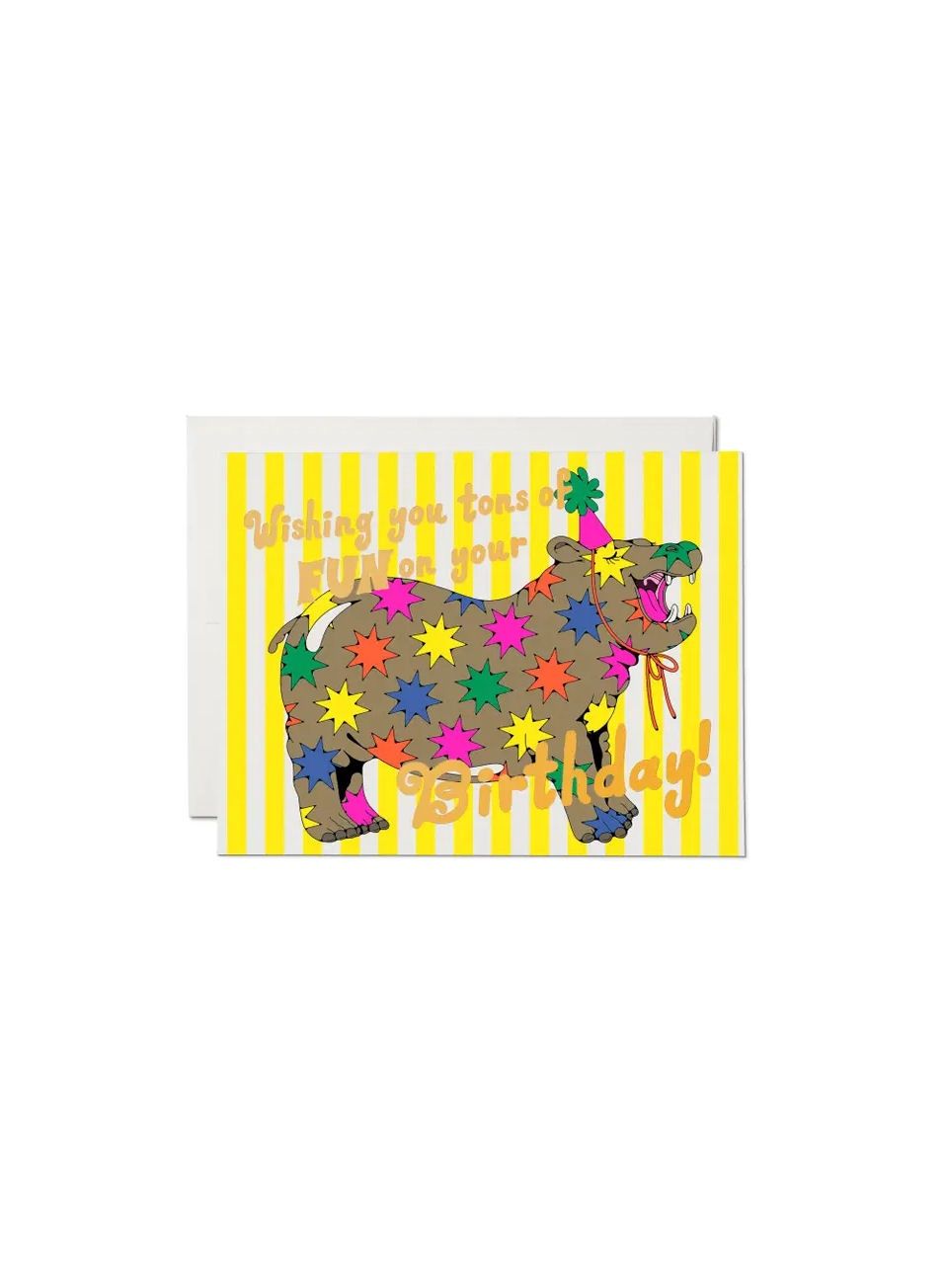 Wishing You Tons Of Fun On Your Birthday Hippo Star Card