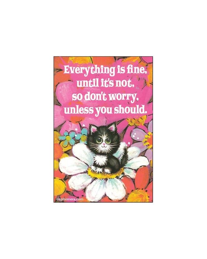 Everything Is Fine Until It’s Not Magnet