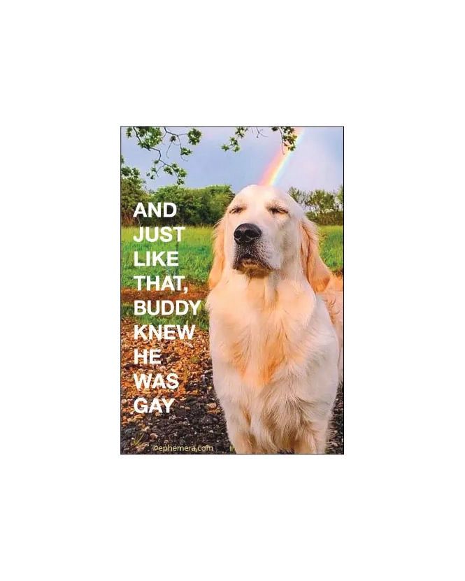 And Just Like That, Buddy Knew He Was Gay Magnet