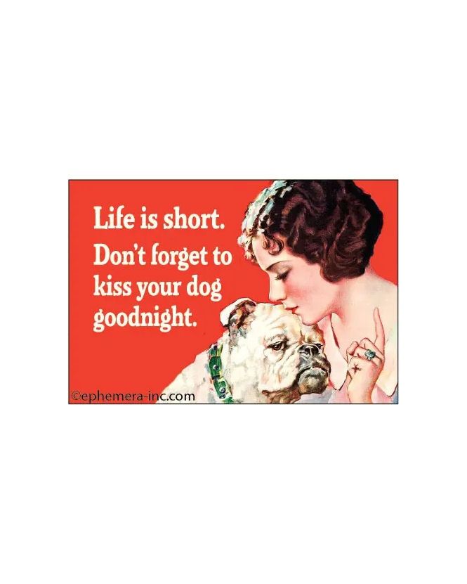 Life Is Short Don’t Forget To Kiss Your Dog Goodnight Magnet