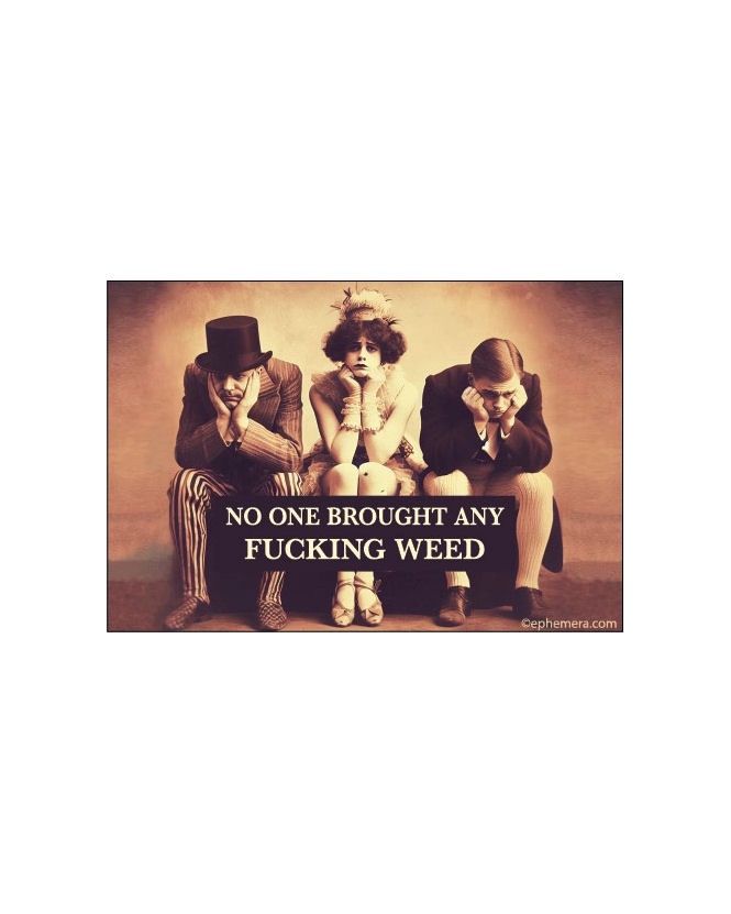 No One Brought Any Fucking Weed Magnet