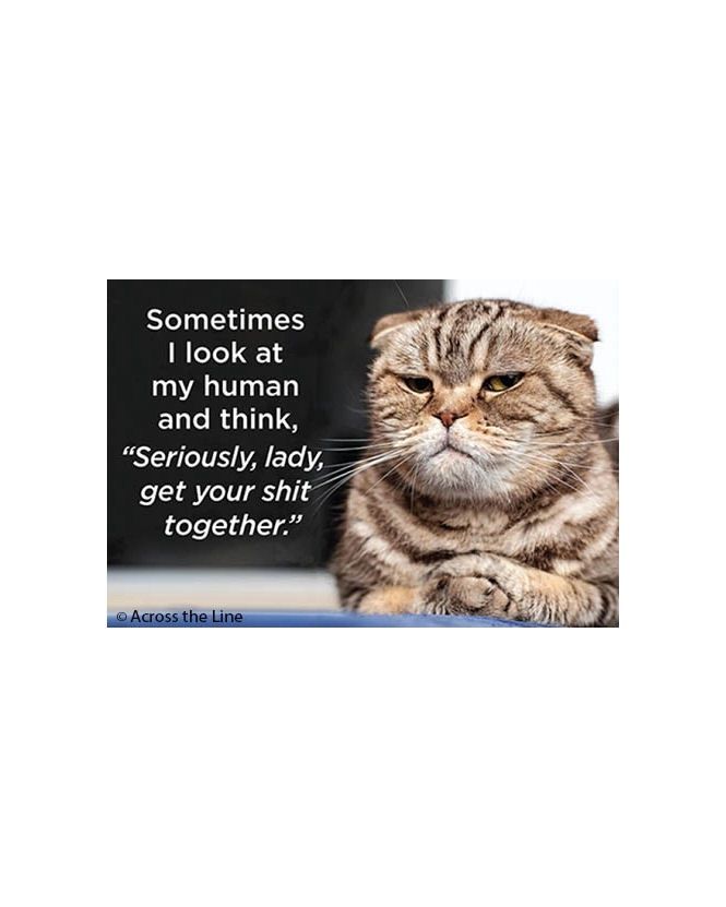 Sometimes I Look At My Human Magnet