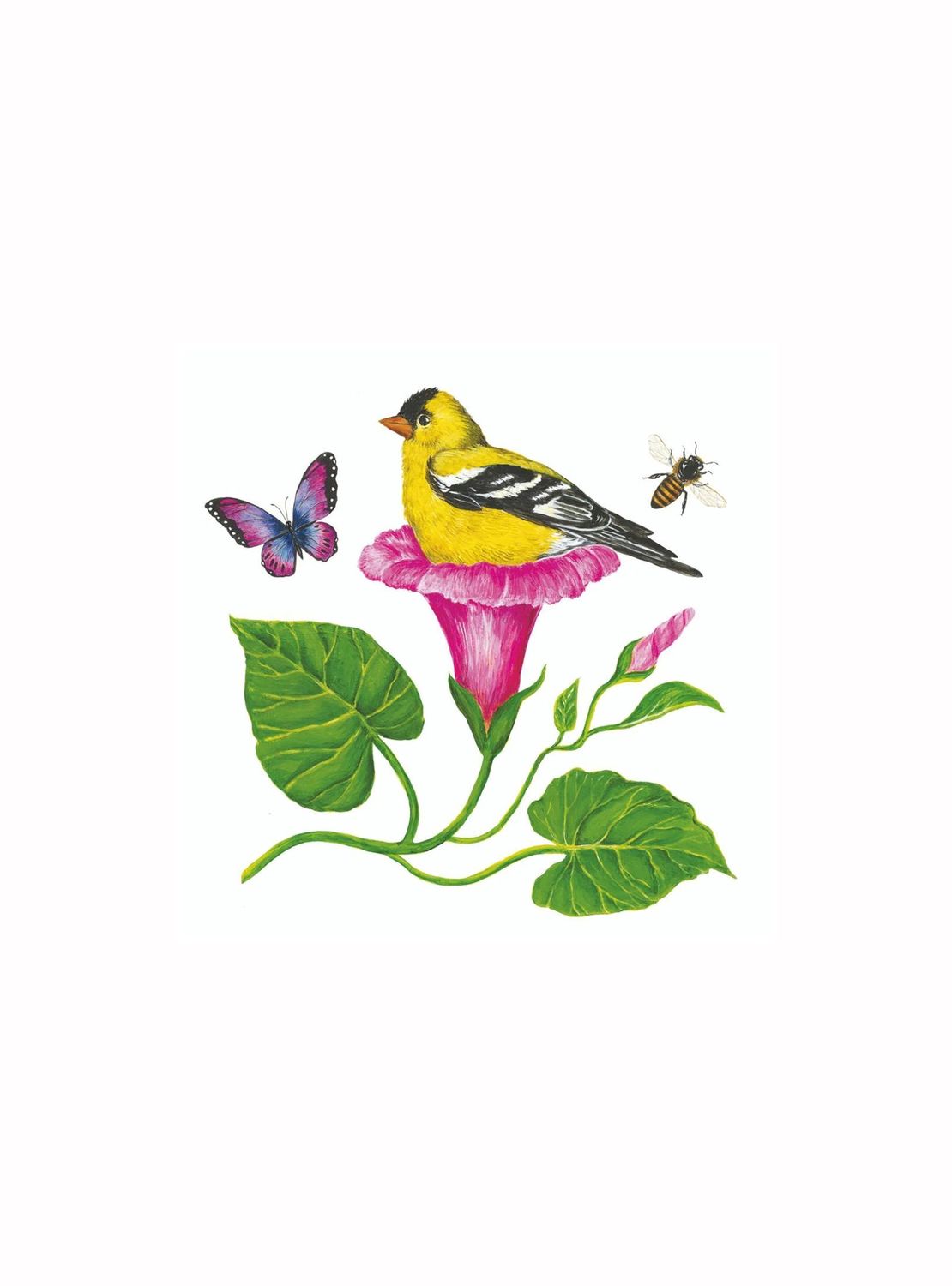 Morning Glory Nest Beverage Napkins