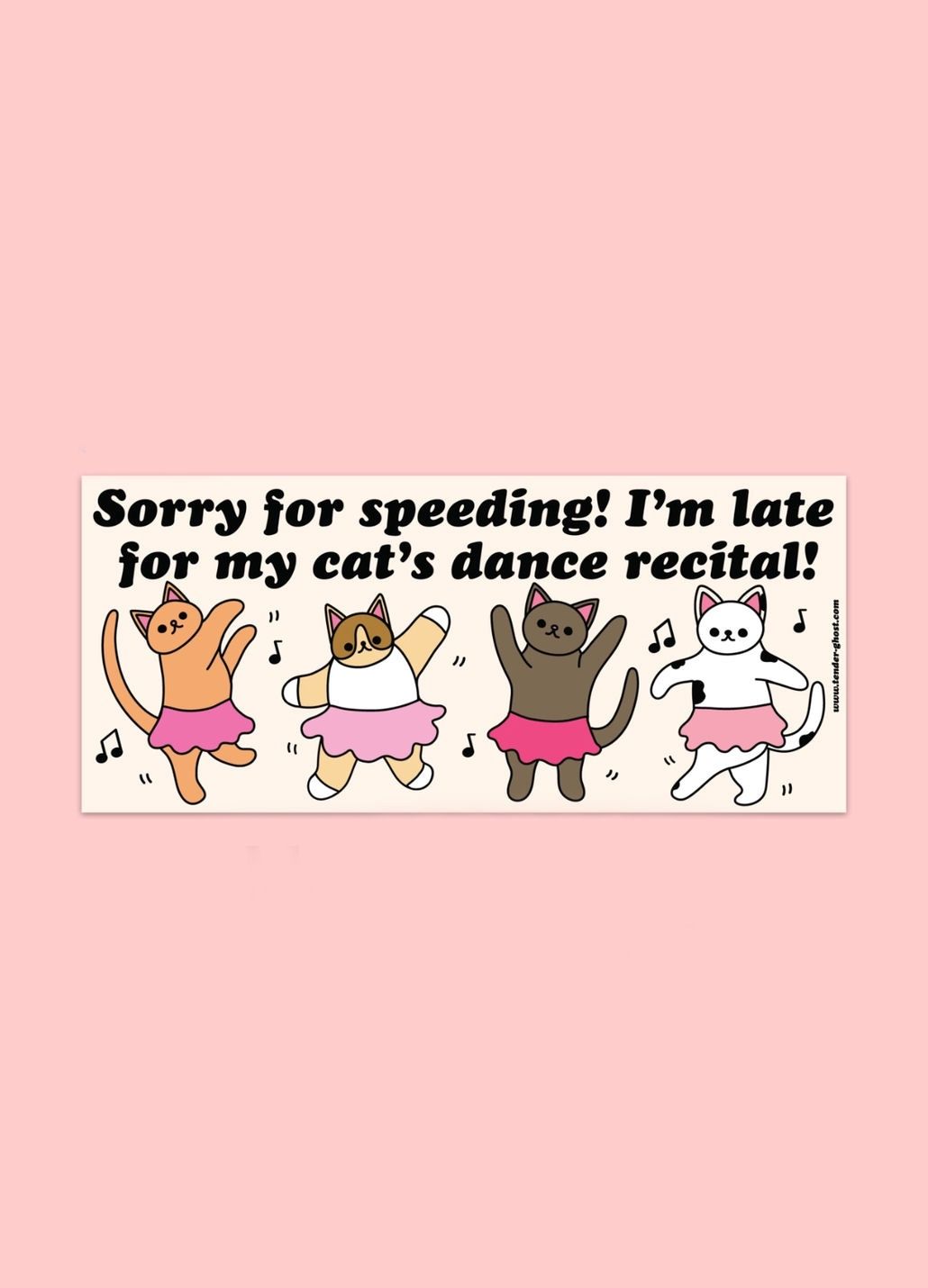 Sorry For Speeding! I’m Late For My Cat’s Dance Recital Bumper Magnet