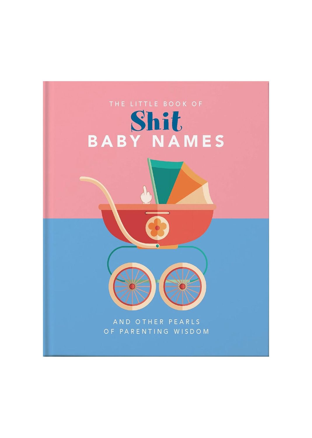 The Little Book of Shit Baby Names Book