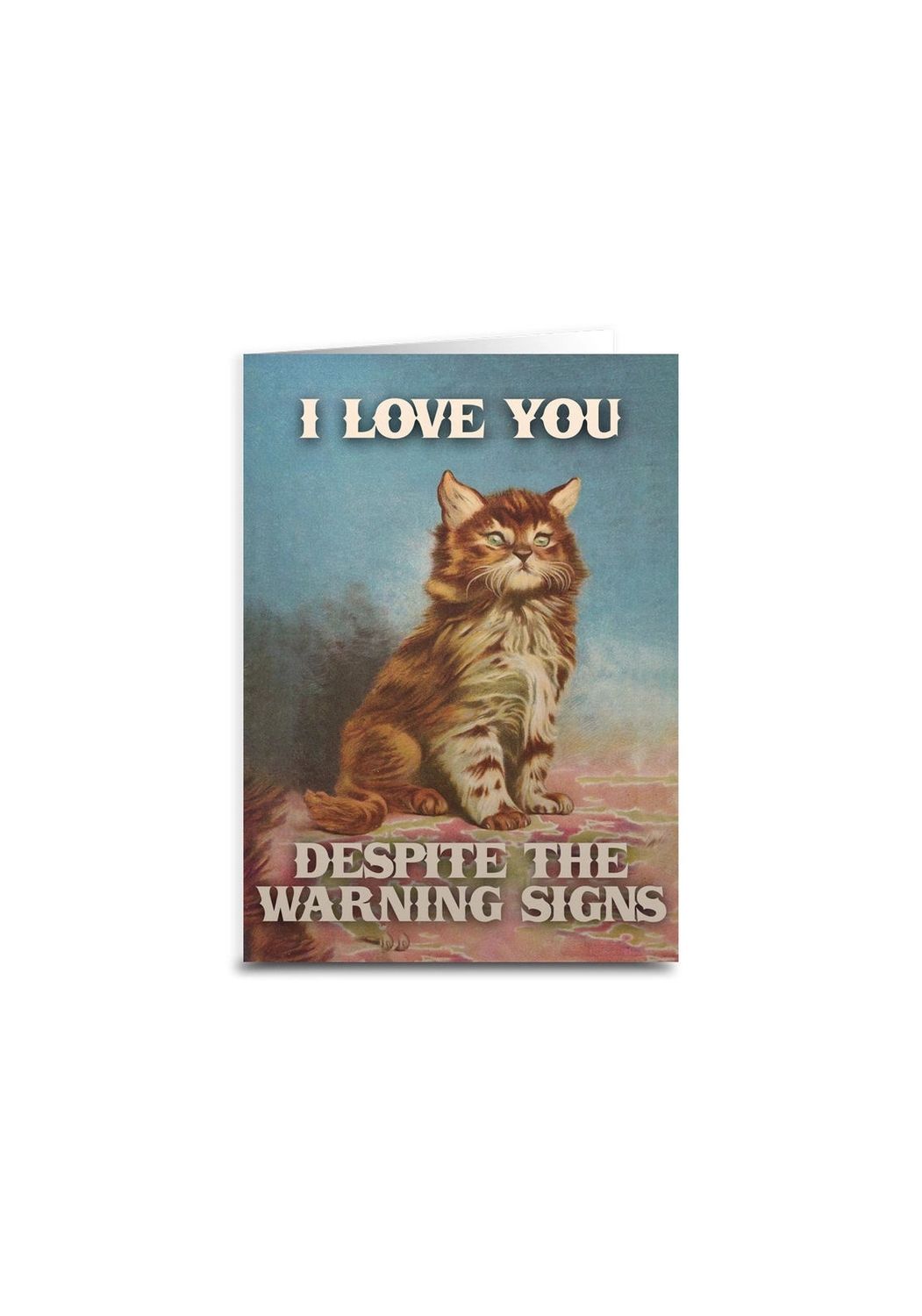 I Love You Despite The Warning Signs Card