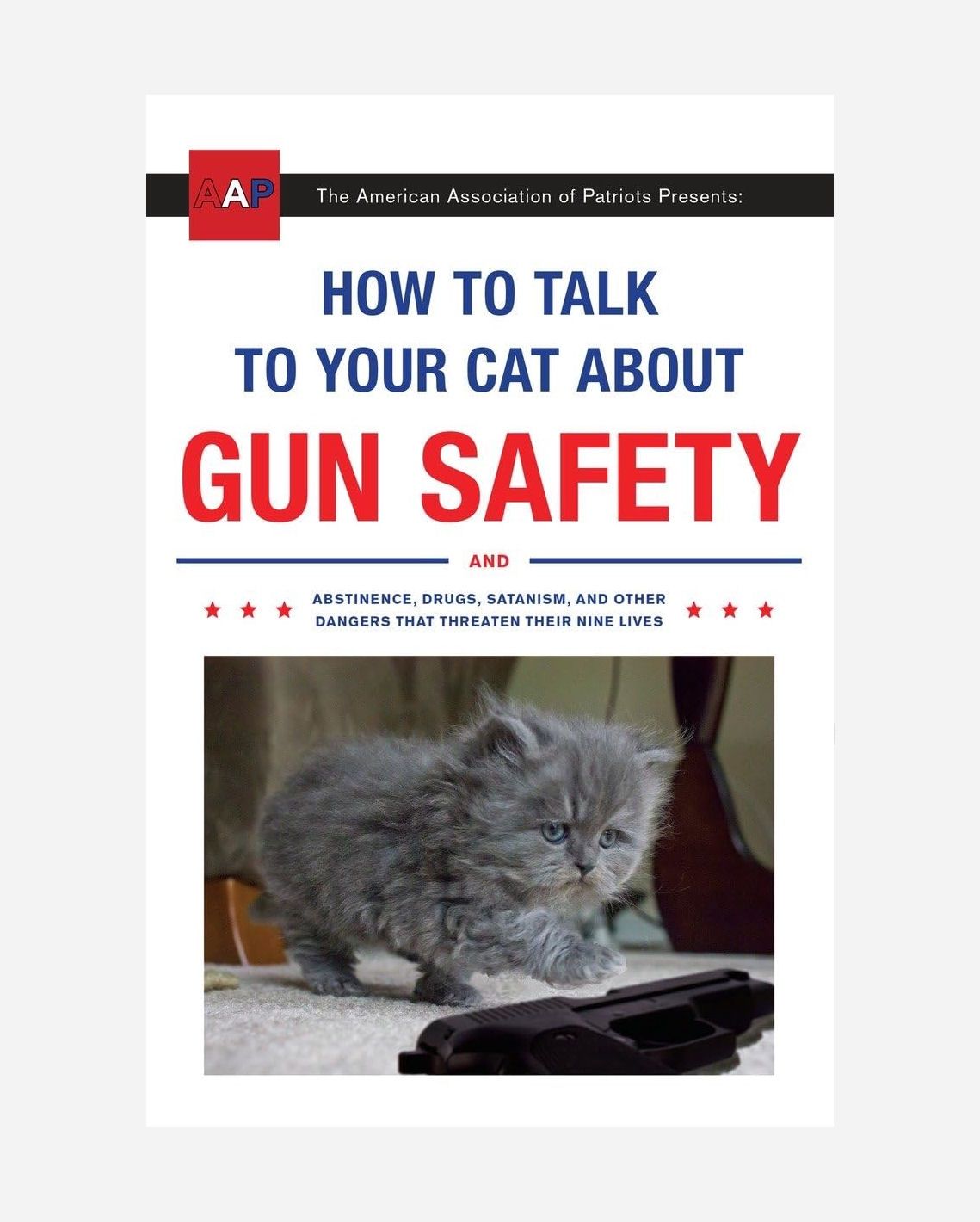 How To Talk to Your Cat About Gun Safety Paperback Book