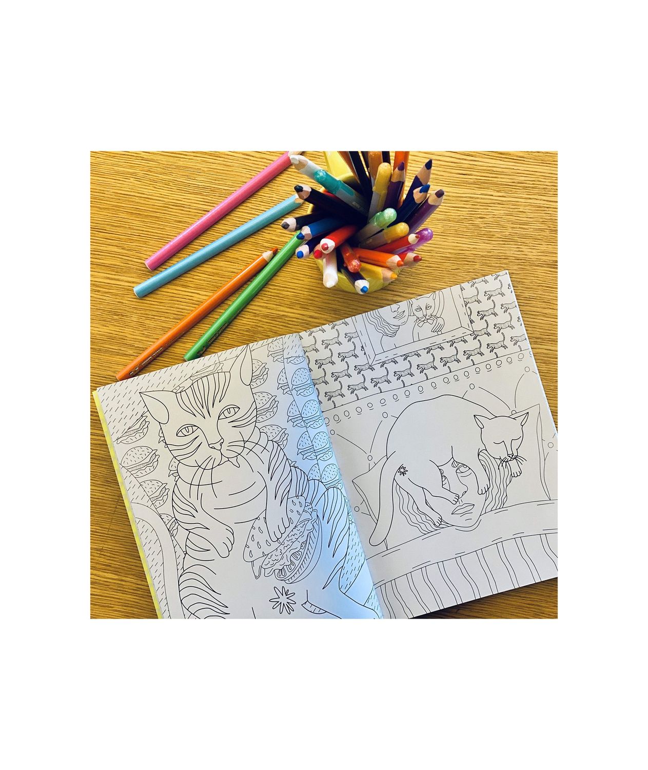 The Cat Butt Coloring and Activity Paperback Book