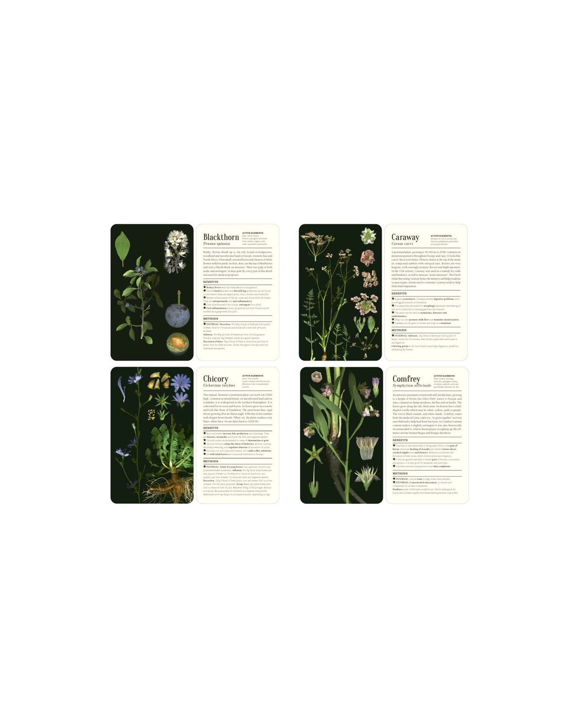 50 Plants That Heal: Discover Medicinal Plants Cards