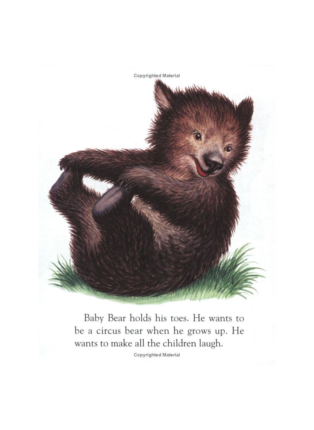 Baby Animals Little Golden Hardcover Book LGB